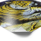 Glass Magic Laternen Folie A TIGER 1900 BIG CAT Fotodruck (Ecke)