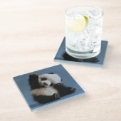 Glass Untersetzer/Baby Panda Bear Glasuntersetzer (Schrägansicht)