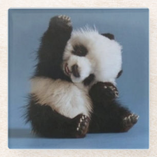 Glass Untersetzer/Baby Panda Bear Glasuntersetzer