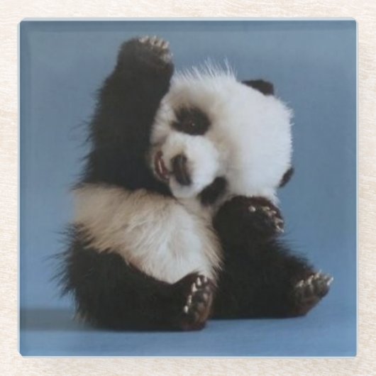 Glass Untersetzer/Baby Panda Bear Glasuntersetzer (Vorderseite)
