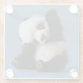 Glass Untersetzer/Baby Panda Bear Glasuntersetzer (Rückseite)
