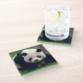 Glass-Untersetzer/Panda-Bär Glasuntersetzer (Schrägansicht)