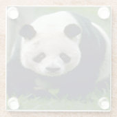 Glass-Untersetzer/Panda-Bär Glasuntersetzer (Rückseite)