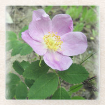 Glass Untersetzer Pink Wilde Rose Küche Essen