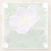 Glass Untersetzer Pink Wilde Rose Küche Essen (Rückseite)