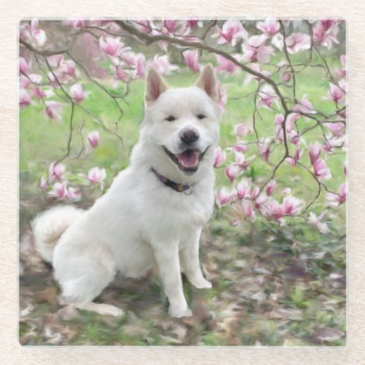 Glass Untersetzer White Akita (Vorderseite)