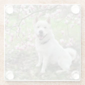 Glass Untersetzer White Akita (Rückseite)