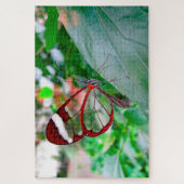 Glass Wing Butterfly. Puzzle (Vertikal)
