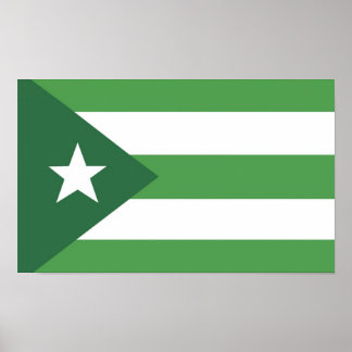 Glassbacke Nation Flag Poster