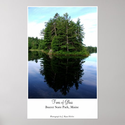 Glassbäume Poster (Vorne)