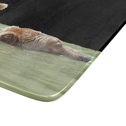 Glasschneider 7,5" x 6,5" mit Grizzlybären Schneidebrett (Ecke)