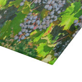 GLASSCHNITTSTELLE, "RINDFLEISCH" SCHNEIDEBRETT (Ecke)