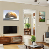 Glassende Dekoration der Seashell Wall Art Coastal Leinwanddruck