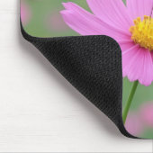 Glasswing Butterfly On a Cosmos Flower Mousepad (Ecke)