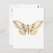 GlassWing Butterfly Postkarte (Vorne/Hinten)