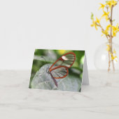 Glasswing Schmetterling notecard Karte (Gelbe Blume)