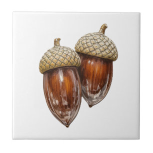 Glassy Acorns Fliese
