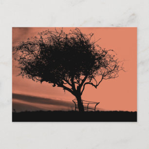 Glastonbury Hawthorn. Baum auf Hügel. Orange Black Postkarte