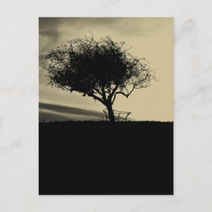 Glastonbury Hawthorn. Baum auf Hügel. Sepia Color. Postkarte