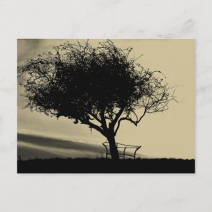 Glastonbury Hawthorn. Baum auf Hügel. Sepia Color. Postkarte