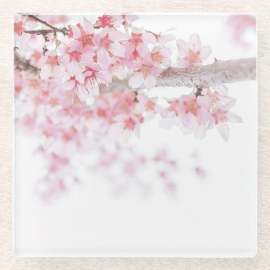 GLASUNTERSETZER: CHERRY BLOSSOM GLASUNTERSETZER (Vorderseite)