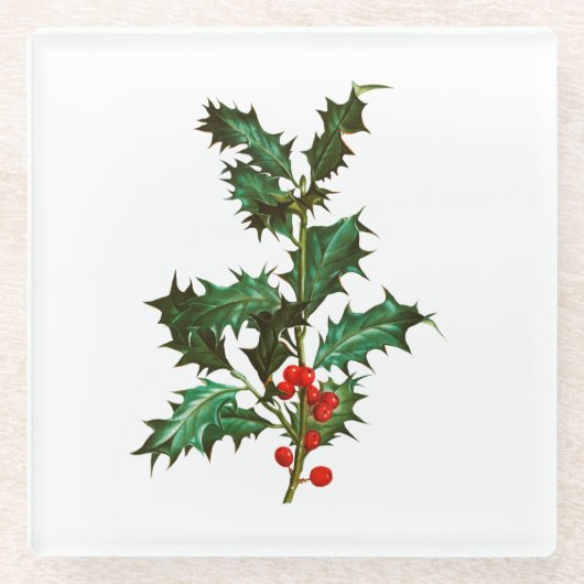 Glasuntersetzer: VINTAGE CHRISTMAS HOLLY Glasuntersetzer (Vorderseite)