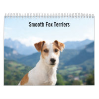 Glatt Fox Terrier 2027 Wandkalender