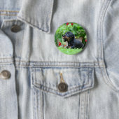 Glatt-haarige MiniaturDackel 1 Button (Beispiel)