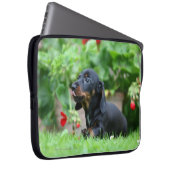 Glatt-haarige MiniaturDackel 1 Laptopschutzhülle (Vorne Rechts)