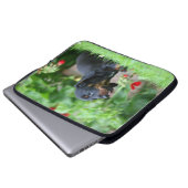 Glatt-haarige MiniaturDackel 1 Laptopschutzhülle (Vorne Knopf)