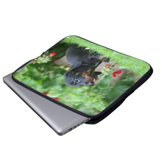 Glatt-haarige MiniaturDackel 1 Laptopschutzhülle (Vorne Knopf)