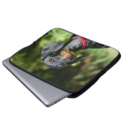 Glatt-haarige MiniaturDackel 3 Laptopschutzhülle (Vorne Knopf)