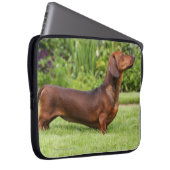 Glatt-haarige MiniaturDackel Laptopschutzhülle (Vorne Rechts)