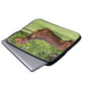 Glatt-haarige MiniaturDackel Laptopschutzhülle (Vorne Knopf)