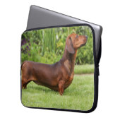 Glatt-haarige MiniaturDackel Laptopschutzhülle (Vorderseite Links)