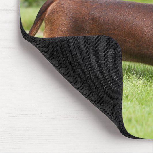 Glatt-haarige MiniaturDackel Mousepad (Ecke)