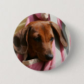 Glatt-haariger MiniaturDackel-Welpe Button (Vorderseite)