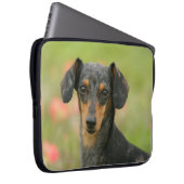 Glatt-haariger MiniaturDackel-Welpe, der Laptopschutzhülle (Vorne Rechts)