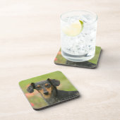 Glatt-haariger MiniaturDackel-Welpe, der Untersetzer (Rechte Seite)