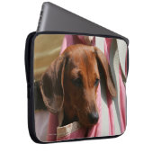 Glatt-haariger MiniaturDackel-Welpe Laptopschutzhülle (Vorne Rechts)
