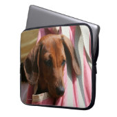 Glatt-haariger MiniaturDackel-Welpe Laptopschutzhülle (Vorderseite Links)