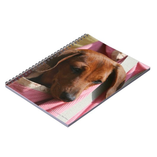 Glatt-haariger MiniaturDackel-Welpe Notizblock (Linke Seite)