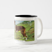 Glatt-Überzogener Collie Zweifarbige Tasse (VorderseiteRechts)