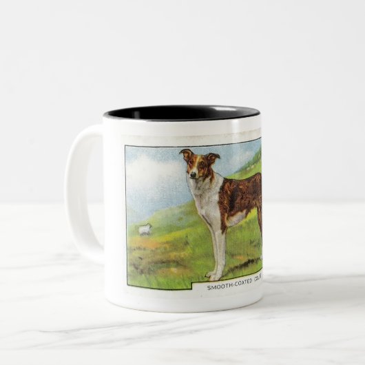 Glatt-Überzogener Collie Zweifarbige Tasse (Vorderseite Links)