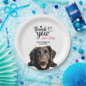 Glattcoat Retriever Pappteller (Party)