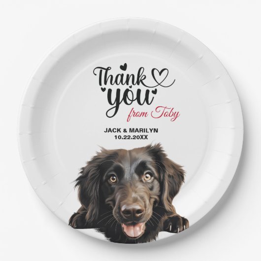 Glattcoat Retriever Pappteller (Vorderseite)