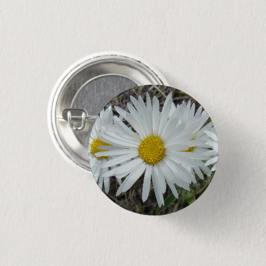 Glatte Aster der weißen Wildblumen-F42 Button (Vorne & Hinten)