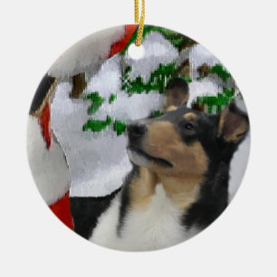 Glatte Collie-Weihnachtsgeschenk-Verzierung Keramikornament