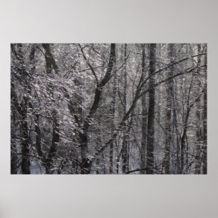 Glatte eisige Wald im Morgenlicht I Poster
