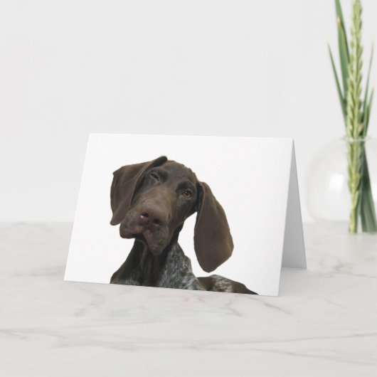 Glatte Graubär-Gruß-Karte Karte (Vorderseite)